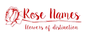 Rose Names